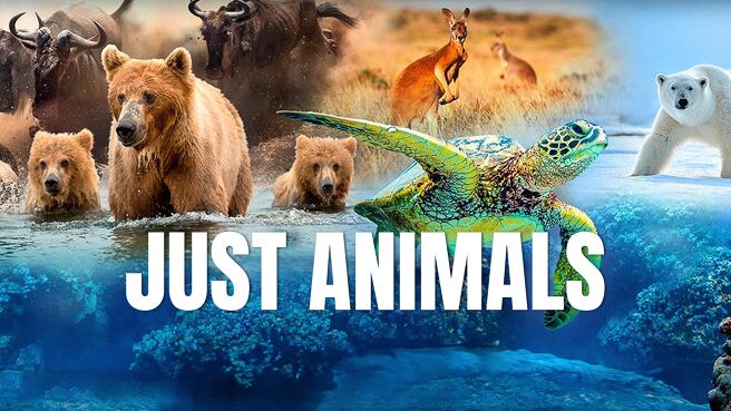 Just Animals on Discovery Plus