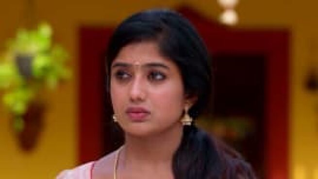 Meenakshi Ponnunga season 1 episode 251 on Zee5