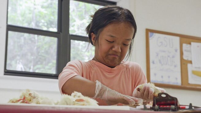 7 Little Johnstons season 8 episode 6 on Discovery Plus