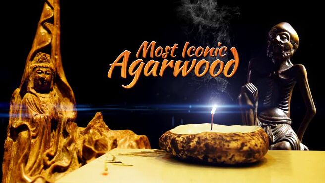 Most Iconic: Agarwood on Discovery Plus