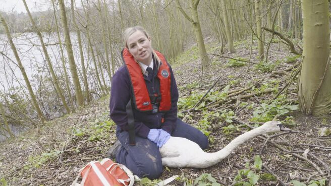 Saving Britain's Wildlife season 1 episode 9 on Discovery Plus