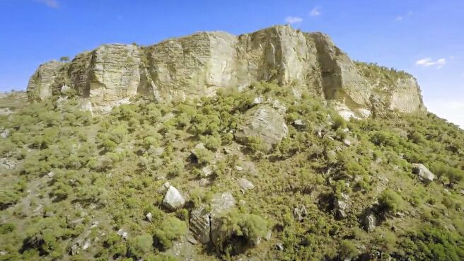 Jungle Planet season 1 episode 26 on Discovery Plus