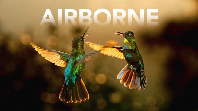Airborne on Discovery Plus