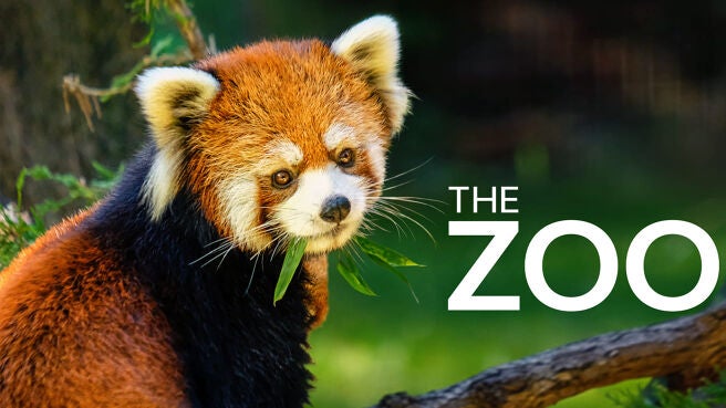 The Zoo on DiscoveryPlus