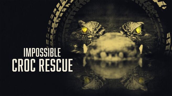 Impossible Croc Rescue on Discovery Plus