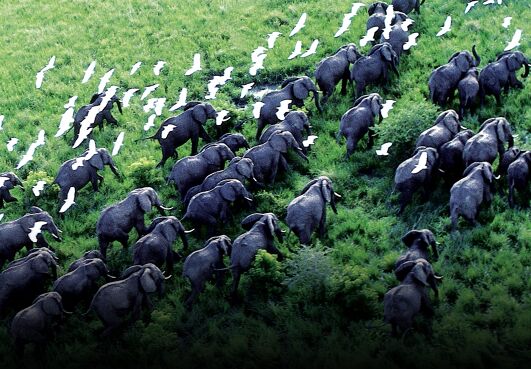 Planet Earth on Sony LIV