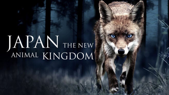 New Animal Kingdom: Japan on Discovery Plus