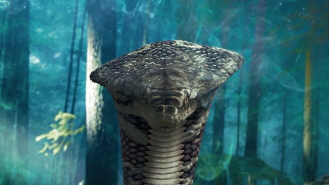 Gatha Shiv Parivaar Ki Ganesh Kartikey season 1 episode 41 on Sony LIV