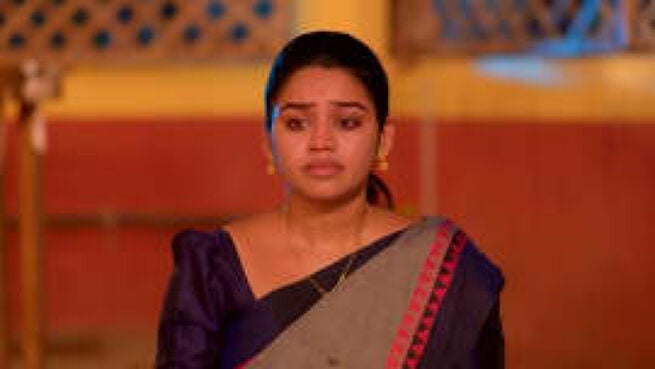 Meenakshi Ponnunga season 1 episode 252 on Zee5