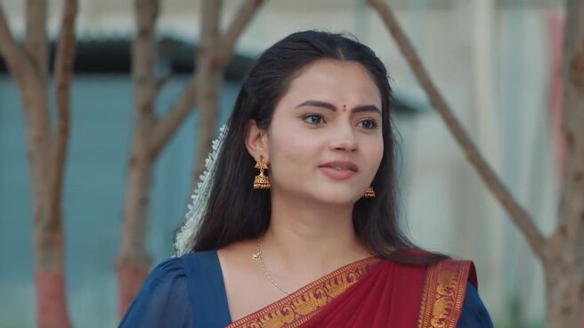 Maa Annayya season 1 episode 13 on Zee5
