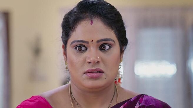 Janaki Ramayya Gari Manavaralu season 1 episode 20 on Zee5