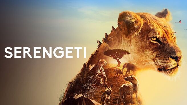 Serengeti on Discovery Plus