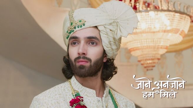 Jaane Anjaane Hum Mile season 1 episode 24 on Zee5