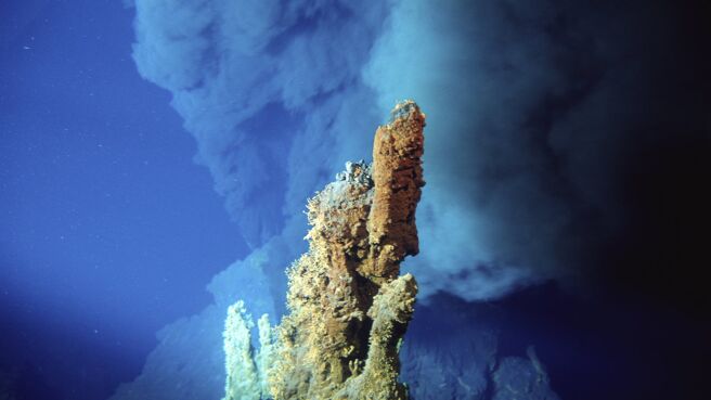 Planet Earth season 1 episode 11 on DiscoveryPlus