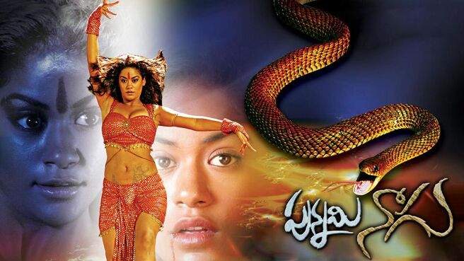 Punnami Naagu on Sun NXT