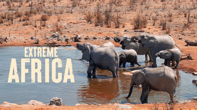 Extreme Africa on Discovery Plus