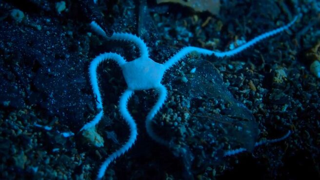 The Americas season 1 episode 2 on Discovery Plus