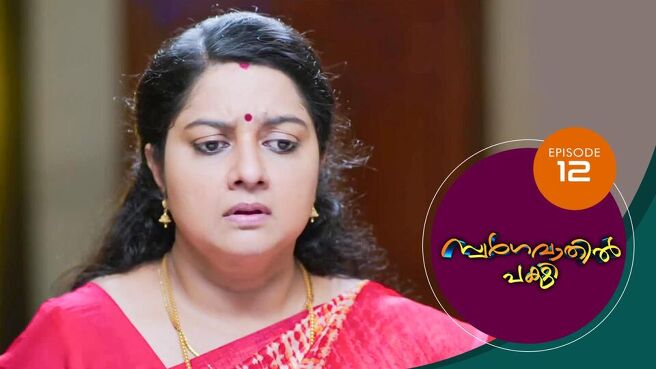 Swargavathil Pakshi season 1 episode 12 on Sun NXT