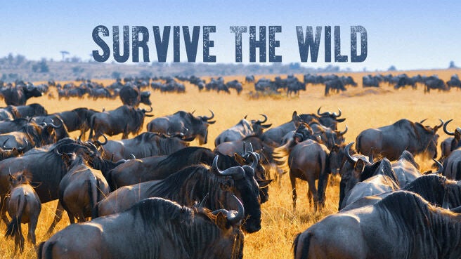 Survive the Wild on Discovery Plus
