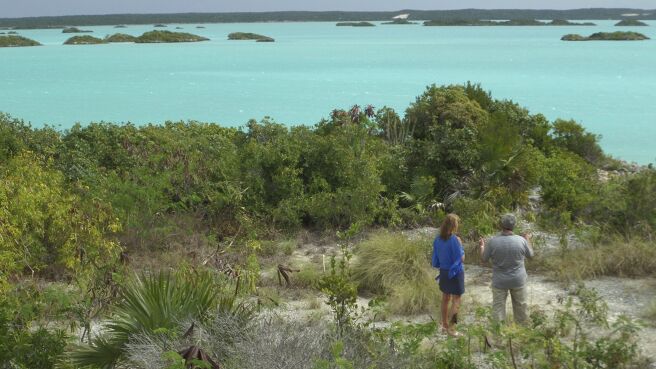 Caribbean Life season 1 episode 13 on Discovery Plus