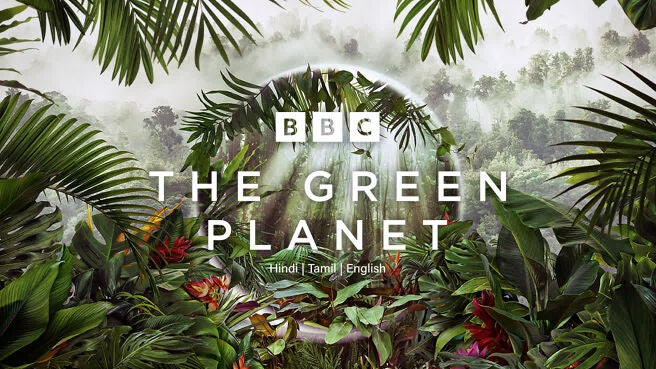 The Green Planet on Discovery Plus