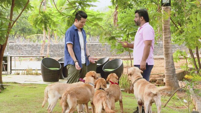 India's Best Job season 1 episode 1 on Discovery Plus