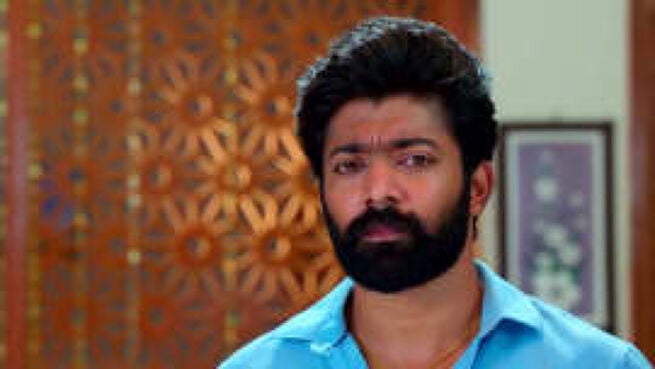 Meenakshi Ponnunga season 1 episode 249 on Zee5