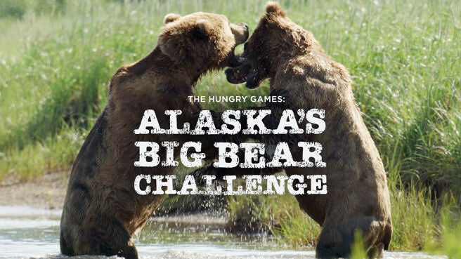 The Hungry Games: Alaska's Big Bear Challenge on Discovery Plus