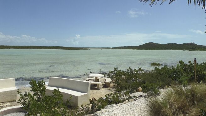 Caribbean Life season 1 episode 14 on Discovery Plus