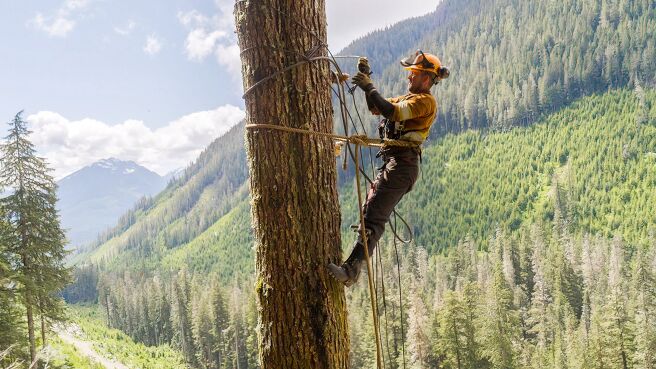 The Last Woodsmen season 1 episode 7 on Discovery Plus