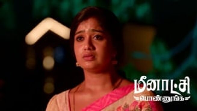 Meenakshi Ponnunga season 1 episode 252 on Zee5