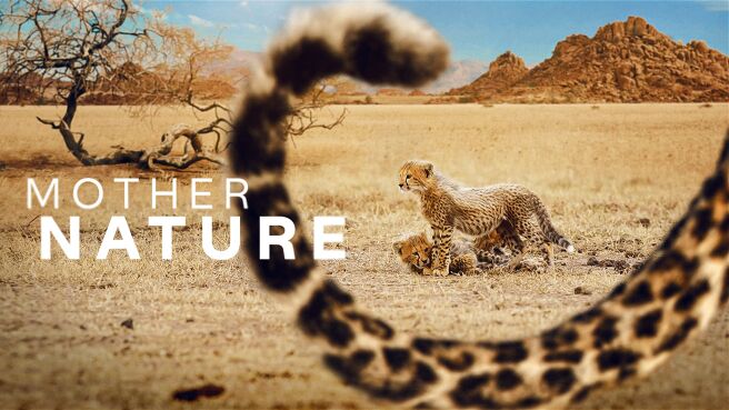 Mother Nature on Discovery Plus