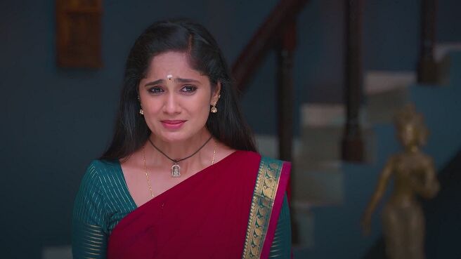Ayali season 1 episode 11 on Zee5