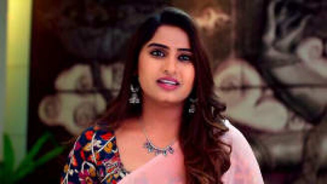 Kalyanam Kamaneeyam season 1 episode 397 on Zee5