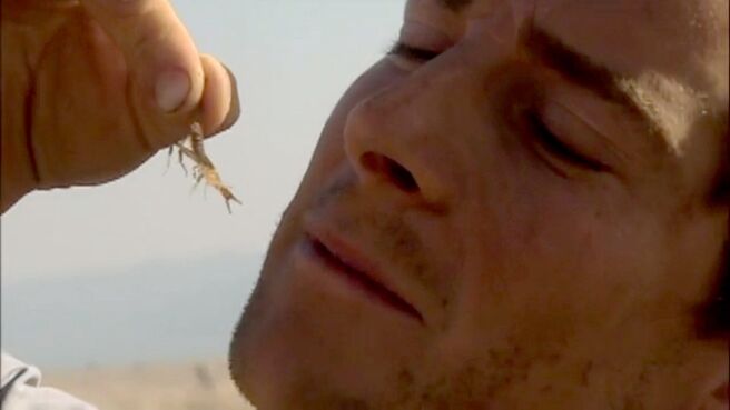 Man vs. Wild season 1 episode 8 on Discovery Plus