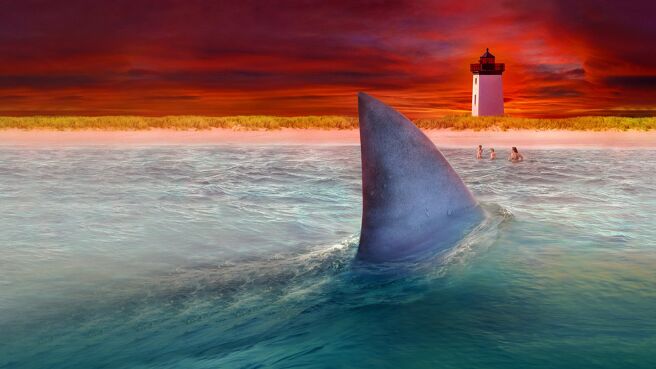 Great White Intersection on Discovery Plus