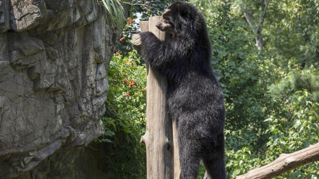The Zoo season 3 episode 4 on DiscoveryPlus