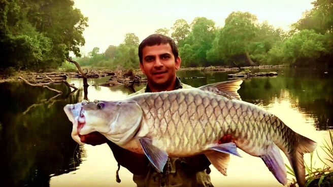 Safari India season 1 episode 7 on Zee5