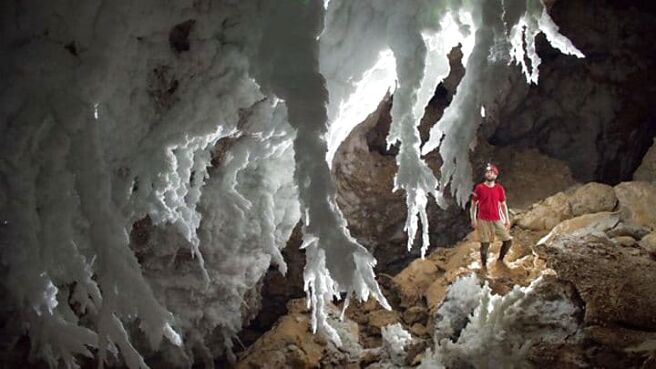 Planet Earth season 1 episode 4 on Sony LIV