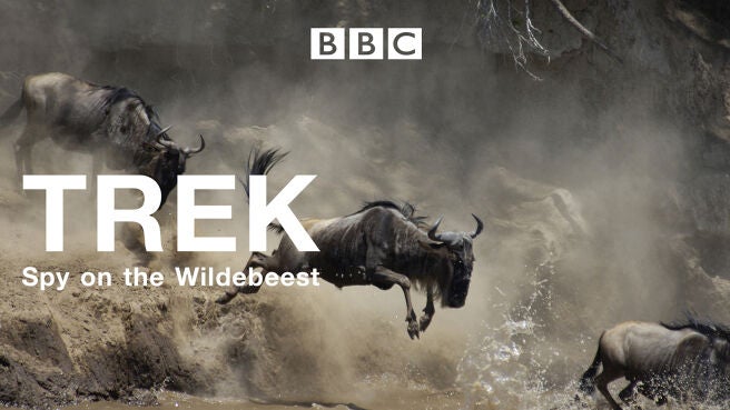 Trek: Spy on the Wildebeest on Discovery Plus