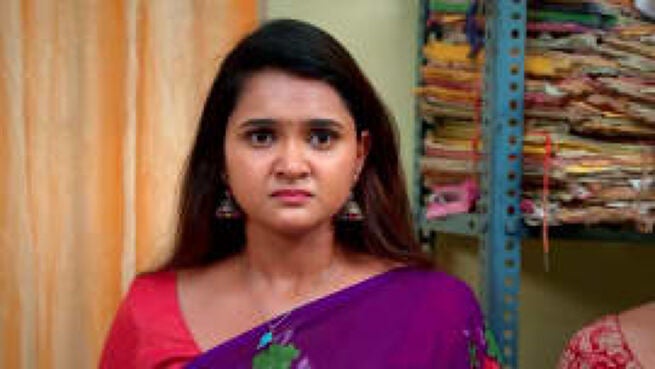 Vidhya No. 1 season 1 episode 407 on Zee5