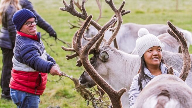 7 Little Johnstons season 8 episode 15 on Discovery Plus