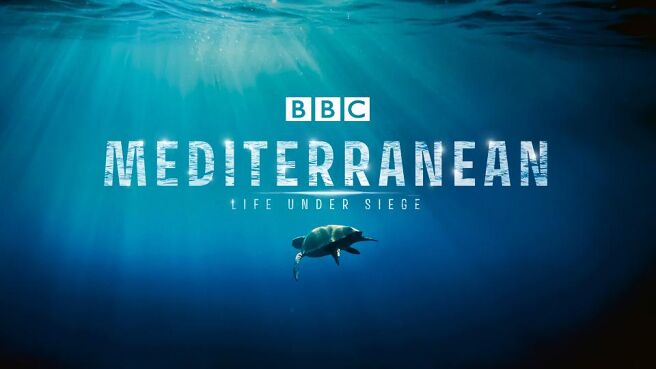 Mediterranean: Life Under Siege on Discovery Plus