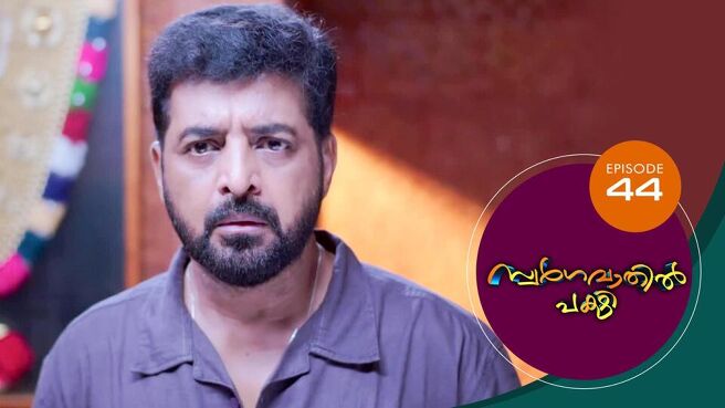 Swargavathil Pakshi season 1 episode 44 on Sun NXT