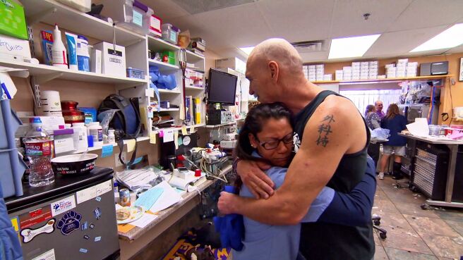 Dr. Jeff: Rocky Mountain Vet season 2 episode 11 on DiscoveryPlus