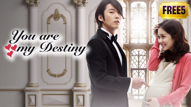 You Are My Destiny on Zee5