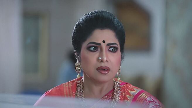 Varisu season 1 episode 17 on Zee5
