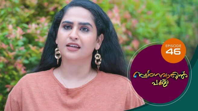 Swargavathil Pakshi season 1 episode 46 on Sun NXT