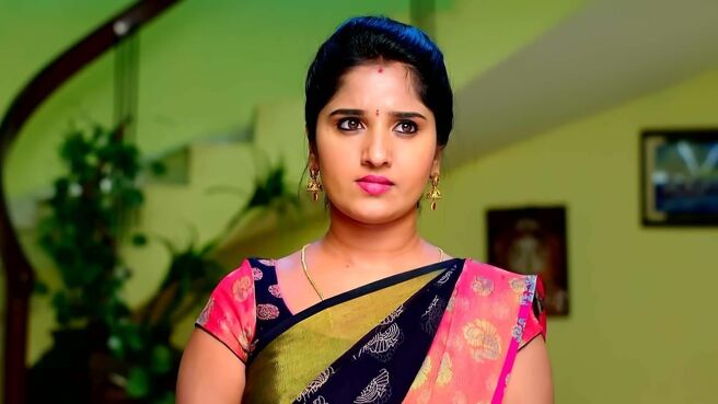 Kalyana Vaibhogam season 1 episode 1451 on Zee5