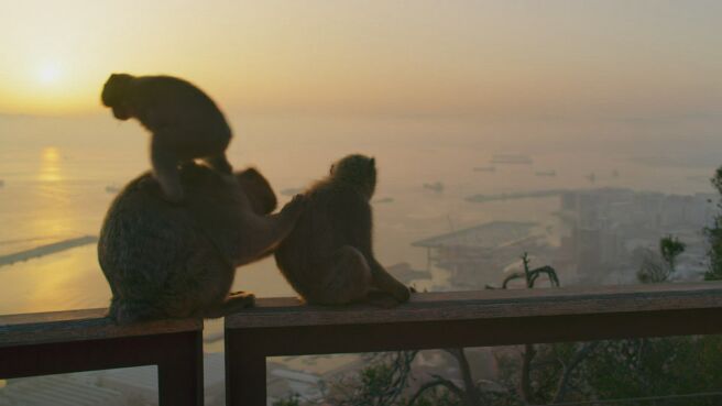 Seven Worlds, One Planet season 1 episode 5 on DiscoveryPlus